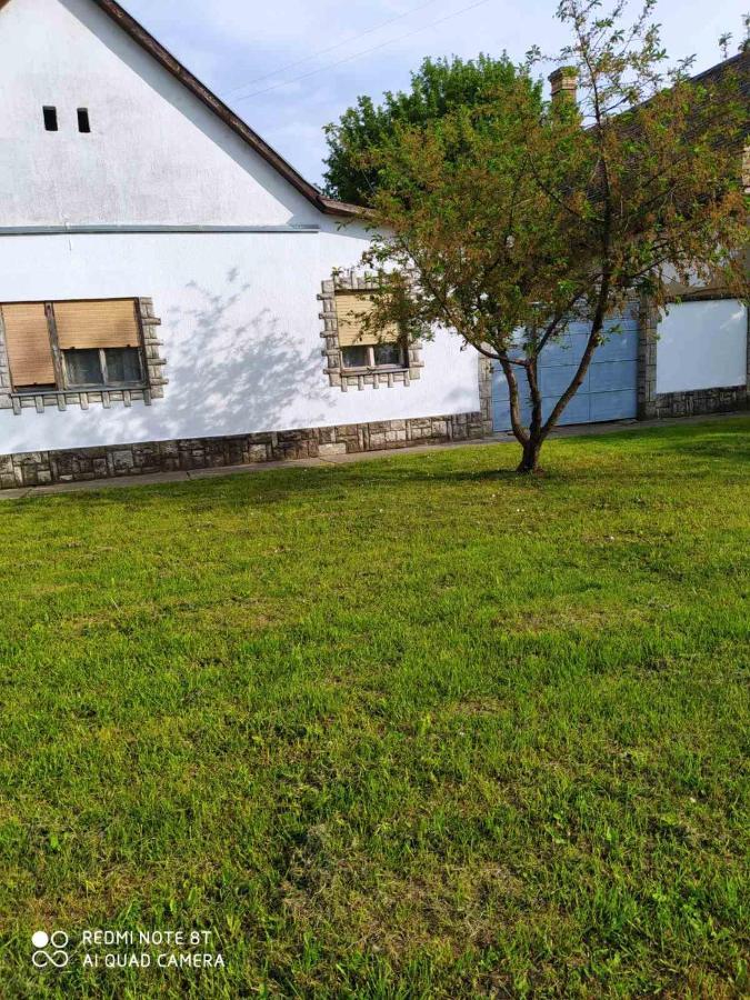 Oaza Mira Porodicna Kuca Za Opustanje Villa Apatin Exterior photo