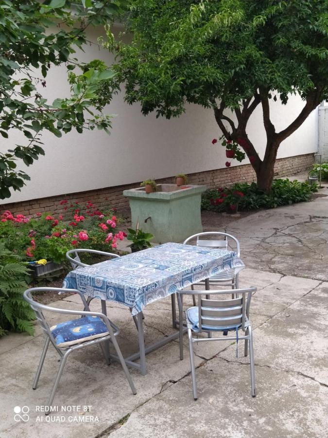 Oaza Mira Porodicna Kuca Za Opustanje Villa Apatin Exterior photo