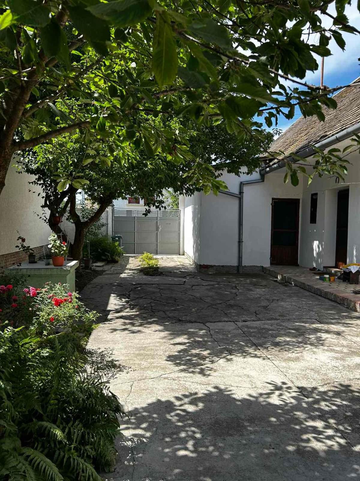 Oaza Mira Porodicna Kuca Za Opustanje Villa Apatin Exterior photo