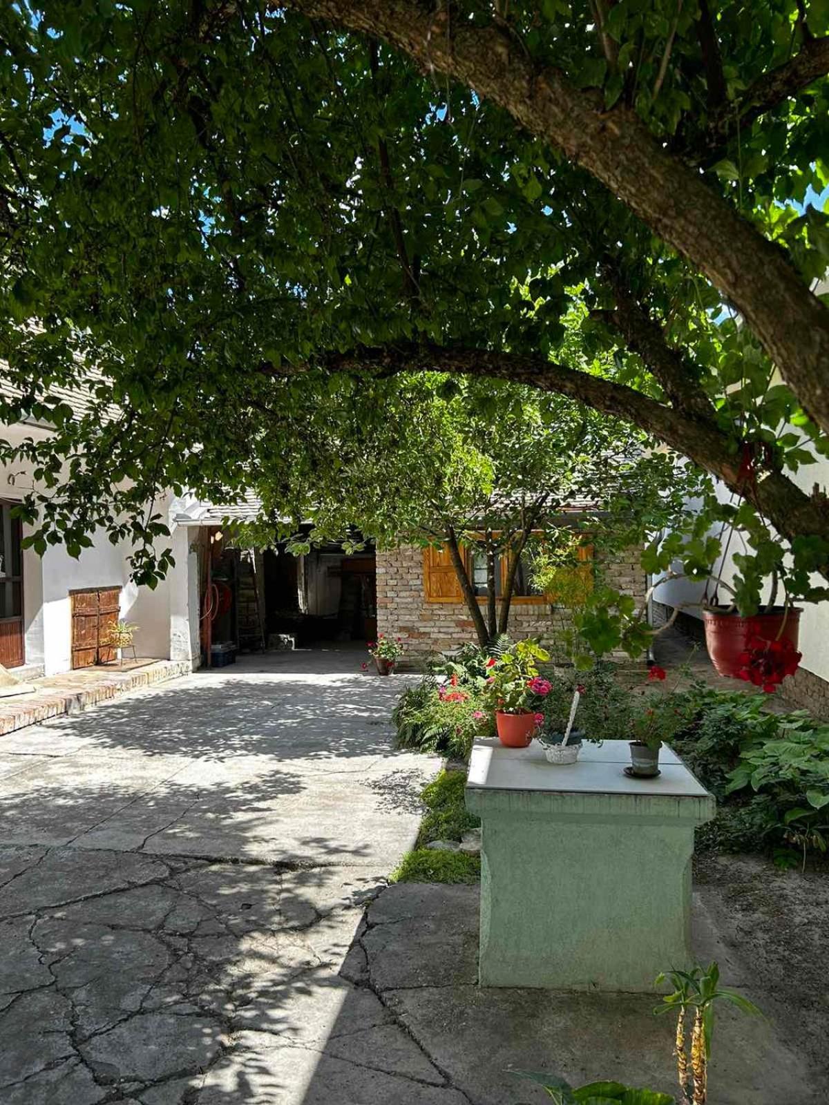 Oaza Mira Porodicna Kuca Za Opustanje Villa Apatin Exterior photo